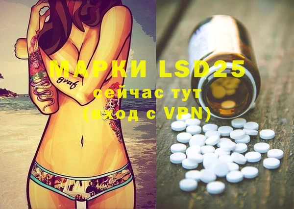 ECSTASY Алзамай
