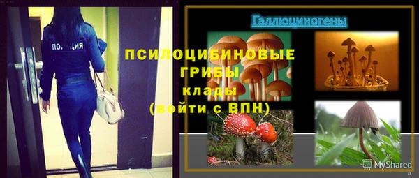 трава Алексин