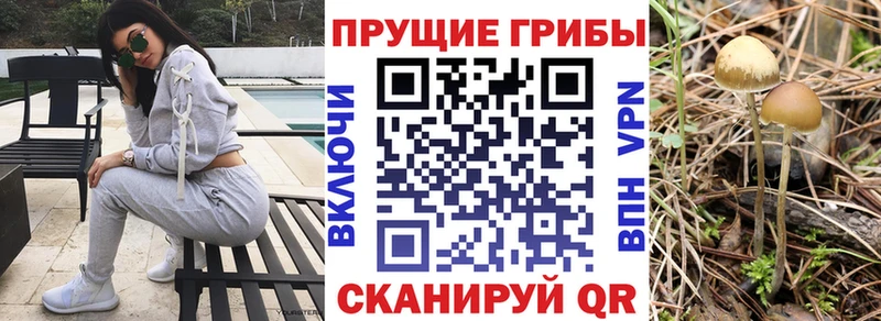 Галлюциногенные грибы мицелий  Беломорск 